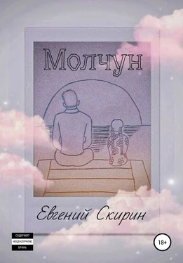 Евгений Скирин Молчун обложка книги