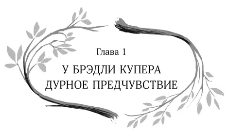 Ничего не случится Брэдли сказала старушка Дидра Гавелл чучелу белки - фото 2