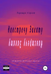 Сергей Терещук - Навстречу Закату