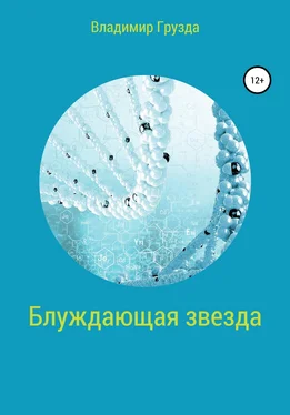 Владимир Грузда Блуждающая звезда обложка книги