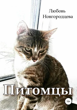 Любовь Новгородцева Питомцы обложка книги