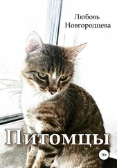 Любовь Новгородцева - Питомцы