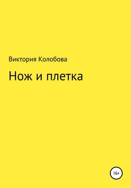 Виктория Колобова Нож и плётка обложка книги