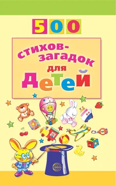 Игорь Мазнин 500 стихов-загадок для детей