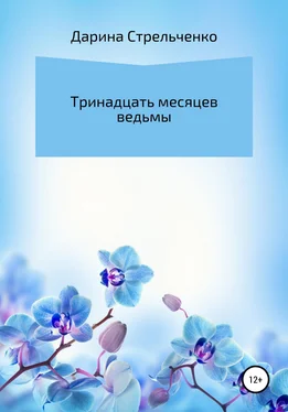 Дарина Стрельченко Тринадцать месяцев ведьмы обложка книги