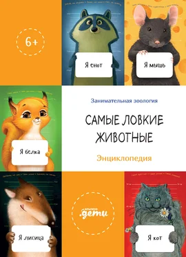 Сергей Лукьяненко Самые ловкие животные. Энциклопедия обложка книги