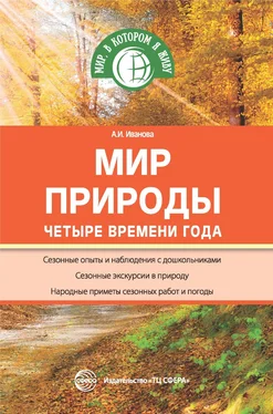 Александра Иванова Мир природы. Четыре времени года обложка книги