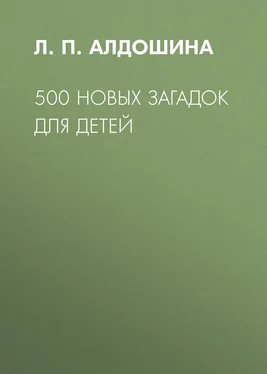 Людмила Алдошина 500 новых загадок для детей обложка книги