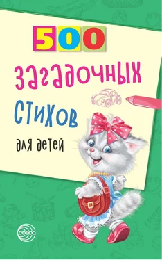 Владимир Нестеренко 500 загадочных стихов для детей обложка книги