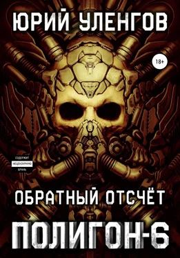 Юрий Уленгов Полигон-6. Обратный отсчет обложка книги