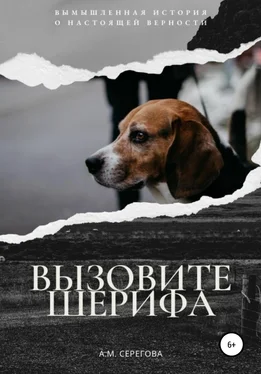 Эллисон Майклс Вызовите шерифа обложка книги