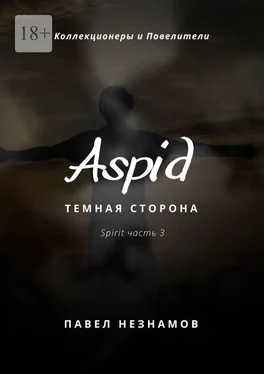 Павел Незнамов Aspid: Темная сторона обложка книги