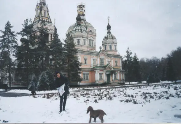 ТАЙНЫ СОЛНЕЧНОЙ ПТИЦЫ Наступил 2012 год и человечество подошло к той - фото 3