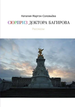 Наталия Мартэн-Соловьёва Сюрприз доктора Багирова обложка книги