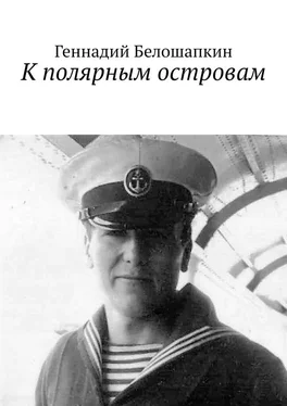 Геннадий Белошапкин К полярным островам обложка книги
