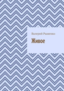 Валерий Рыженко Живое обложка книги