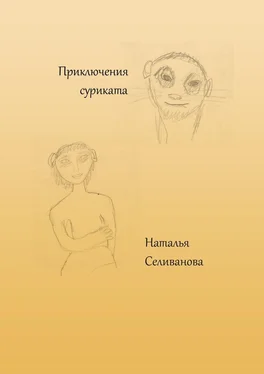 Наталья Селиванова Приключения суриката. Сказка для взрослых детей обложка книги