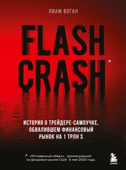 Лиам Воган - Flash Crash. Остросюжетная история о трейдере-одиночке, обвалившем финансовый рынок на 1 трлн долларов