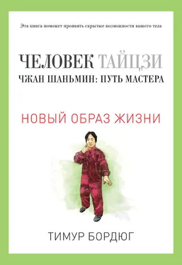 Тимур Бордюг Человек тайцзи. Чжан Шаньмин: путь мастера обложка книги