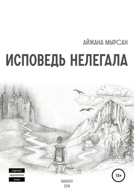 Айжана Мырсан Исповедь нелегала обложка книги