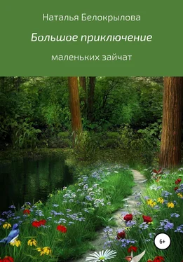 Наталья Белокрылова Большое приключение маленьких зайчат обложка книги