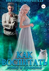 Виктория Серебрянская - Как воспитать кота и дракона