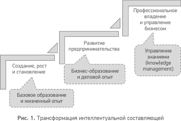 Интенсивный рост бизнеса расширение ассортимента продуктов выход на новые - фото 2