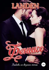 Landen - Феникс