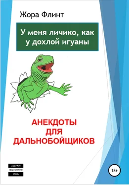 Жора Флинт Анекдоты для дальнобойщиков обложка книги