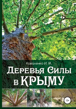 Иван Коваленко Деревья силы в Крыму обложка книги