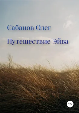 Олег Сабанов Путешествие Эйва обложка книги