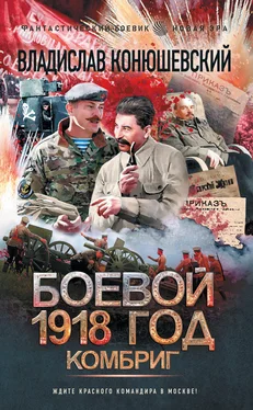 Владислав Конюшевский Боевой 1918 год. Комбриг обложка книги