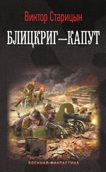 Виктор Старицын - Боевой 41 год. Блицкриг – капут