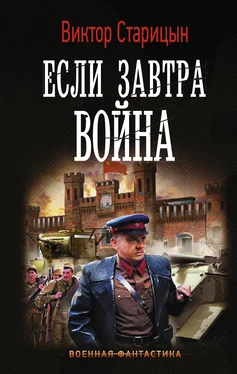 Виктор Старицын Боевой 41 год. Если завтра война обложка книги