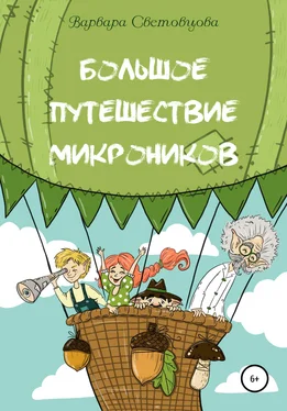 Варвара Световцова Большое путешествие микроников обложка книги