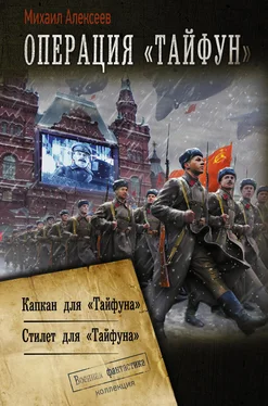 Михаил Алексеев Операция «Тайфун»: Капкан для «Тайфуна». Стилет для «Тайфуна» обложка книги