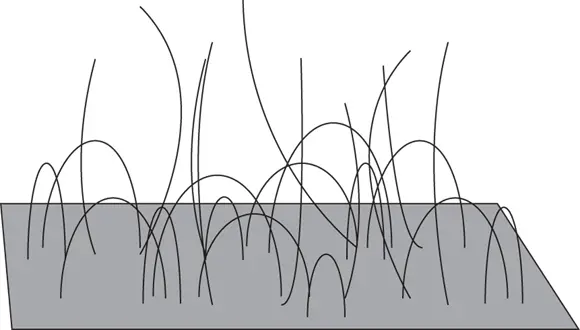 FIGURE 12In string theory strings attach themselves to branes Quantum - фото 15