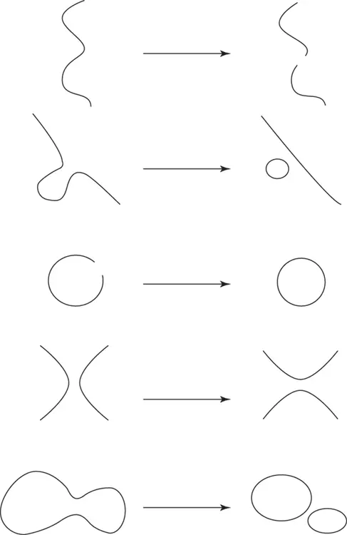 String Theory For Dummies - изображение 12