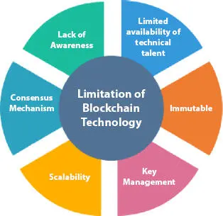 Figure 25 Limitations of blockchain ImmutableWe cannot make any - фото 8