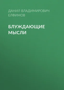 Данил Елфимов Блуждающие мысли обложка книги