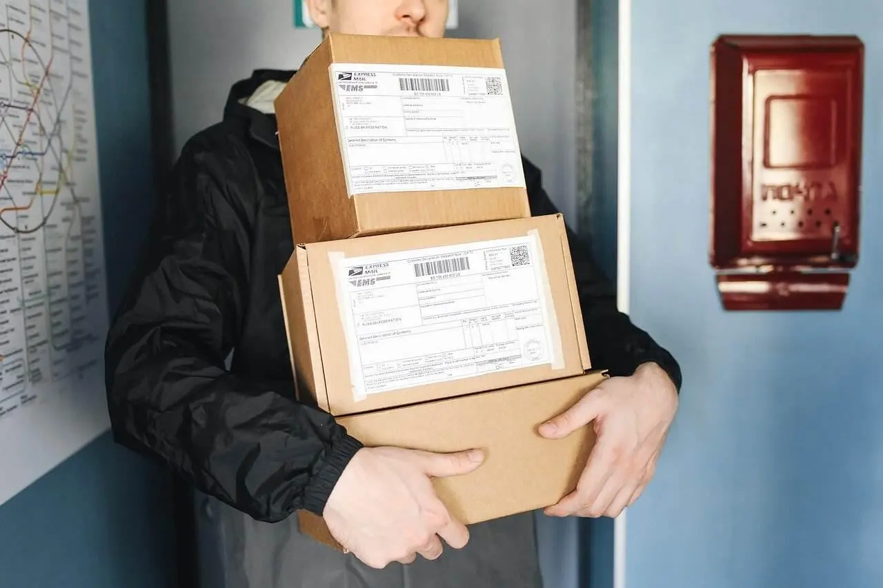 Fig 1116 Page of Disks Mail or parcel delivery 112 112 Downloaded from - фото 95