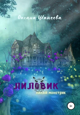 Оксана Шапеева Лиловик обложка книги