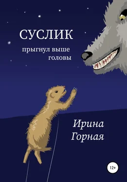 Ирина Горная Суслик прыгнул выше головы обложка книги