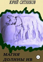 Юрий Ситников - Магия долины Ив