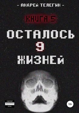 Андрей Телегин Осталось 9 жизней. Книга 5 обложка книги