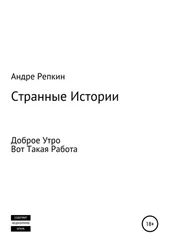 Андре Репкин - Странные истории