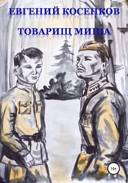Евгений Косенков Товарищ Миша обложка книги
