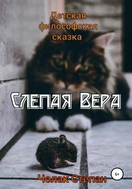 Степан Чолак Слепая Вера обложка книги