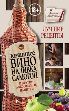 Иван Пышнов Домашнее вино, наливка, самогон и другие алкогольные напитки. Лучшие рецепты
