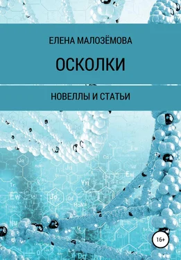 Елена Малозёмова Осколки обложка книги